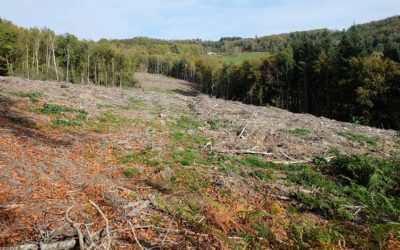 Non aux coupes rases sur le Mont Préneley