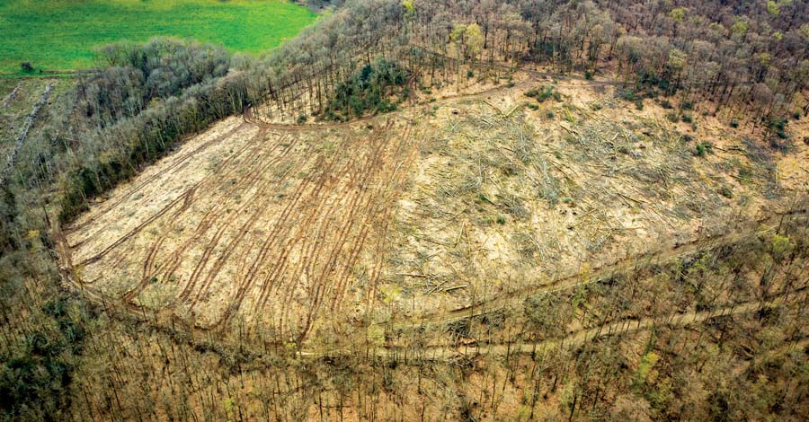 Villapourçon : Coupe rase et saccage d’une ancienne voie romaine au lieu-dit Le Foudon
