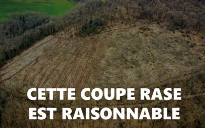 Non, la gestion de la forêt du Foudon (Villapourçon) n’est pas « raisonnable » comme le dit le CNPF