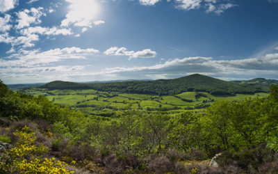 Massif forestier du Mont Touleur : 200 hectares préservés !