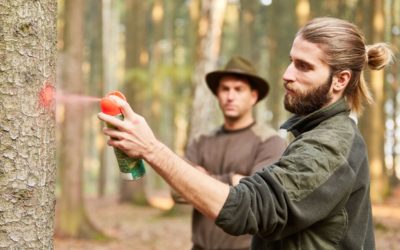La Bresseille partenaire pour faire découvrir la Sylviculture Mélangée à Couvert Continu (SMCC) aux jeunes.
