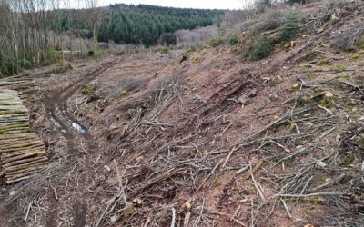 Contre le démarchage abusif des propriétaires forestiers