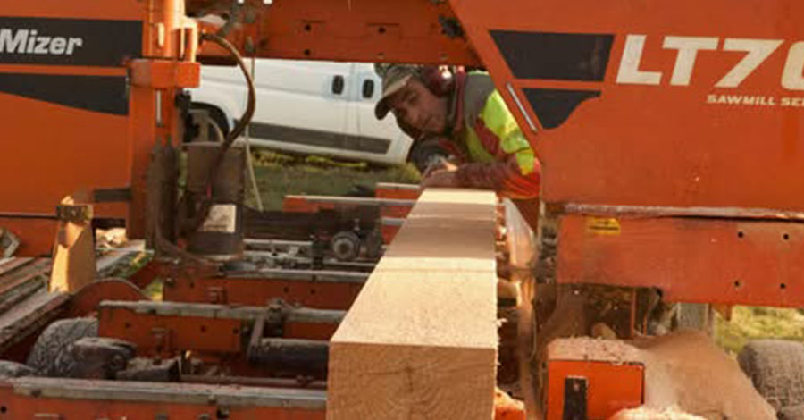 Sciages en circuit court issus des forêts vivantes